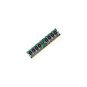 +2GB Kingmax RAM (Extra working memory increases computer speed)